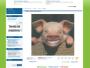 Profile świńskiej grypy na Naszej-klasie