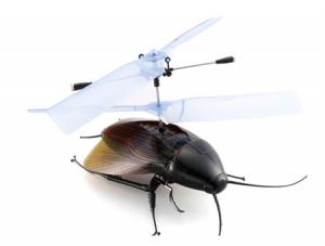 Zostań pilotem karalucha