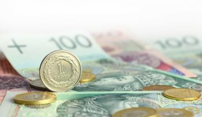 Przed kryzysem uratuje nas złoty, jeśli spadnie jeszcze niżej