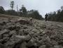 Obrazek z Puyehue po erupcji wulkanu