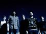 Foals