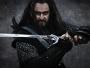 "Hobbit: Niezwykła podróż" (Richard Armitage jako przywódca krasnoludów – Thorin Dębowa Tarcza)
