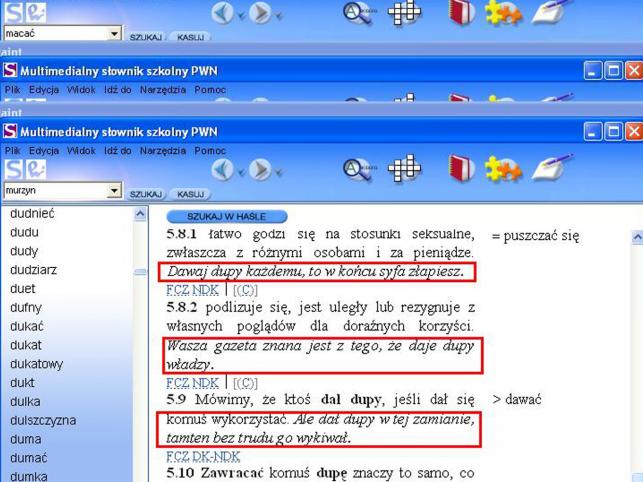 Słownik pełen wulgaryzmów
