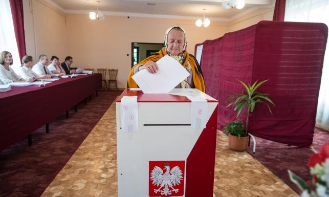 eurowybory wybory do europarlamentu