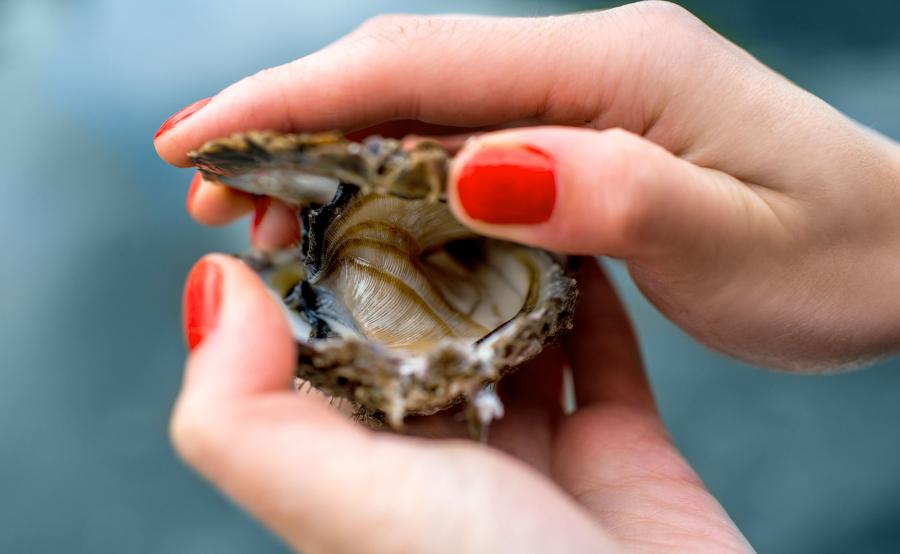 Dieta, która wzmacnia odporność